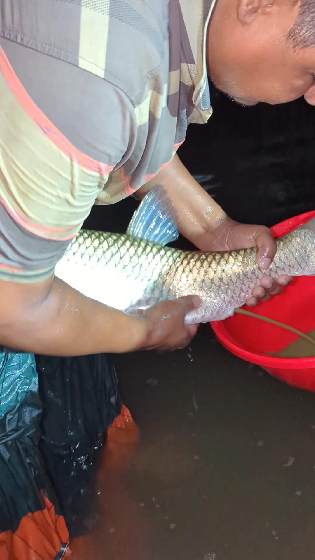 @Fish Lovers Bangladesh