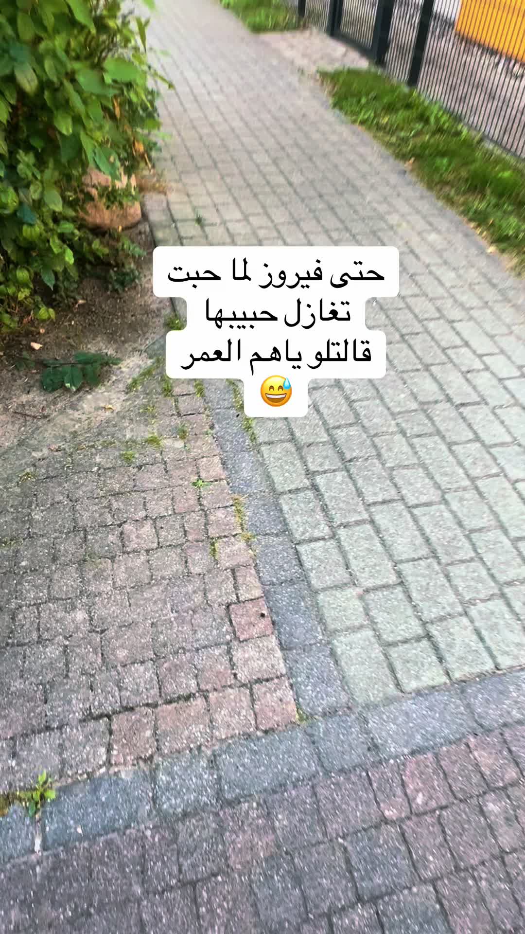 @tuteh🌷