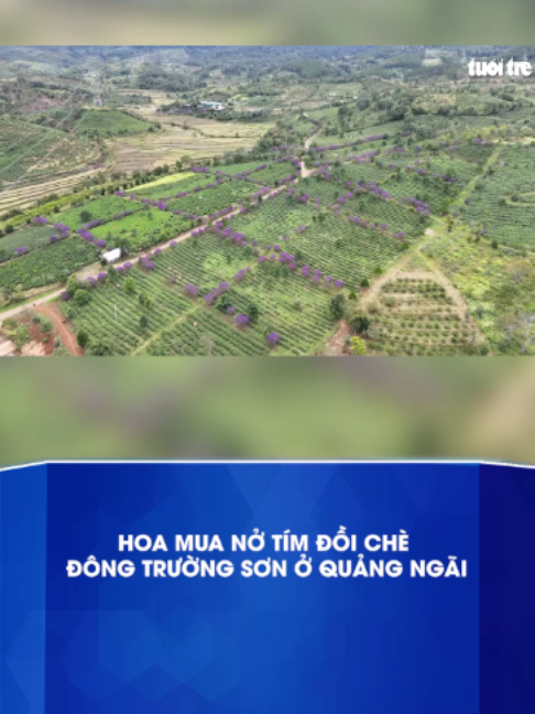 @Báo Tuổi Trẻ