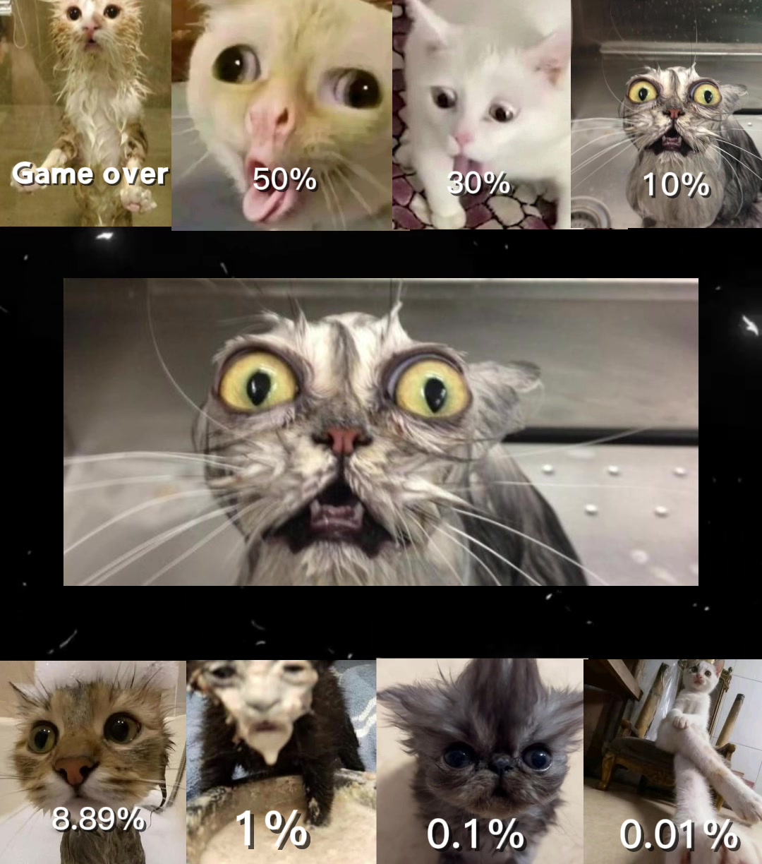 @꧁catlin꧂