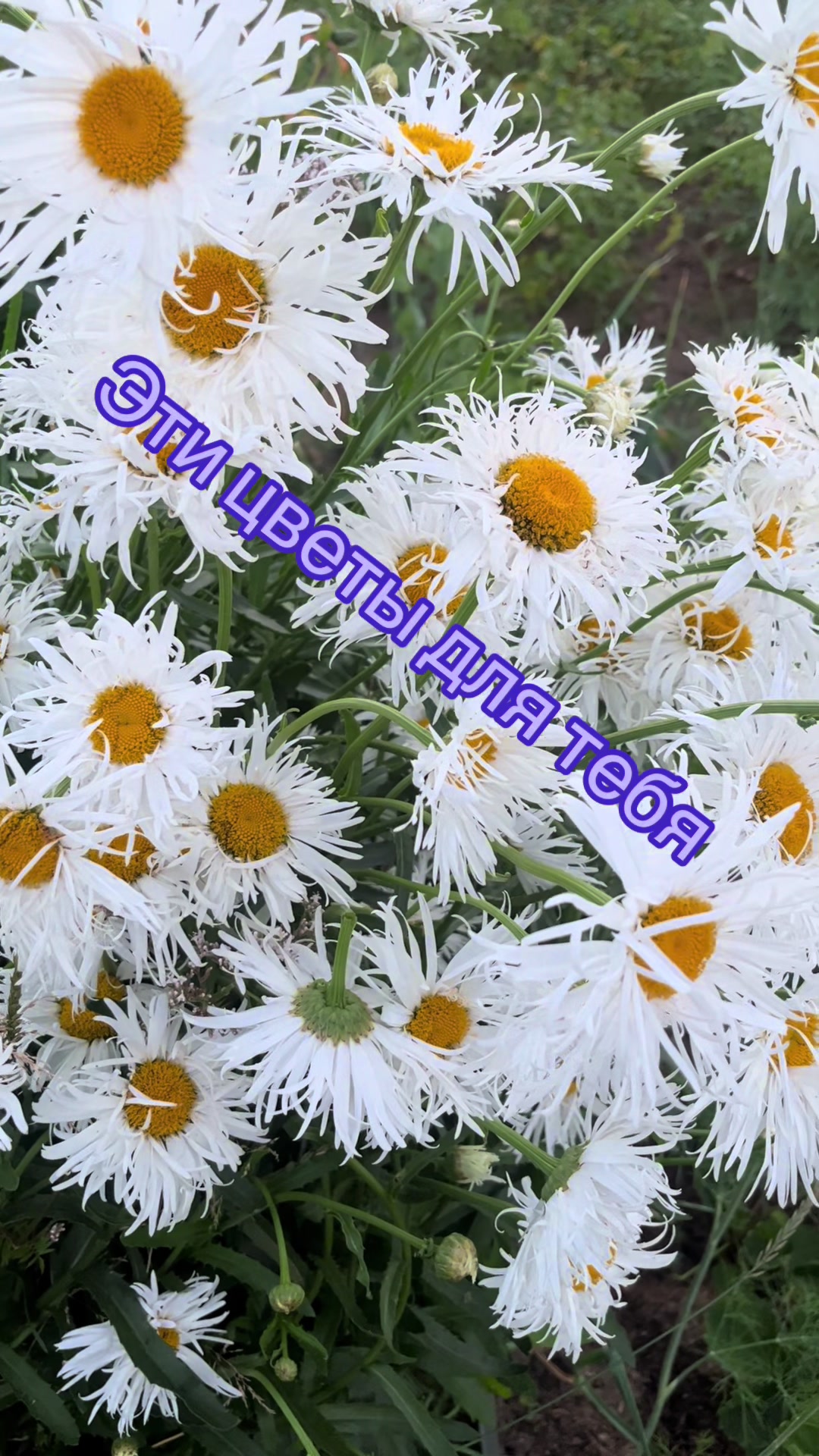 @Юлия