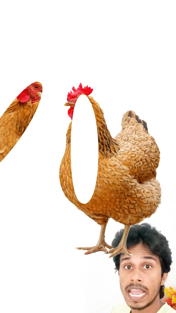 @PRAJAPATI