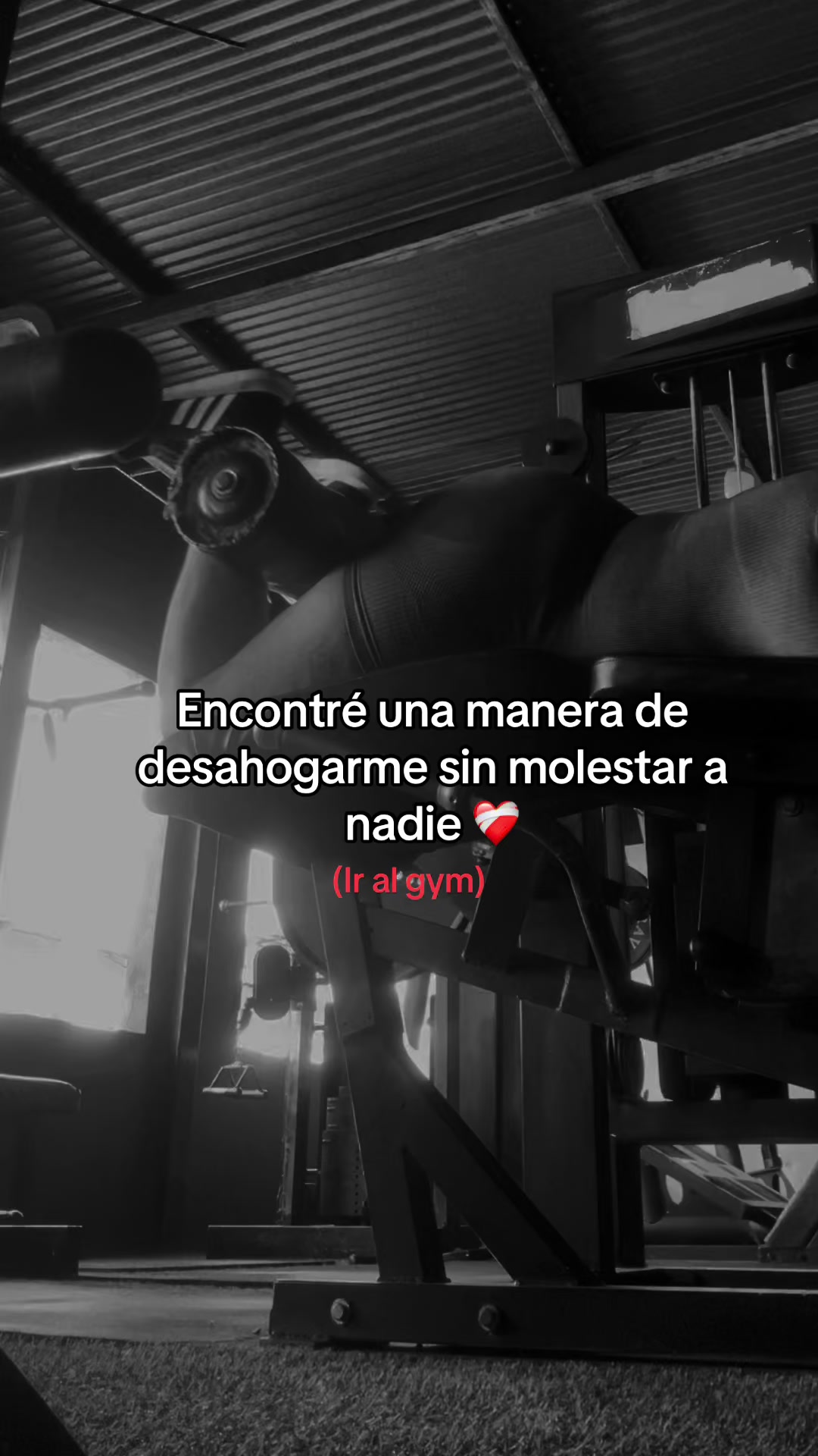 @BS〽️👸➕👸🏻❤️🩹