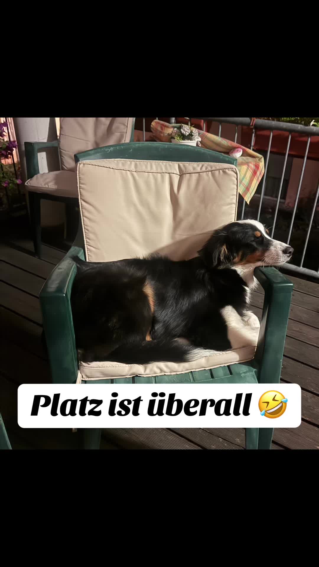 @🐕Di Ana🐕