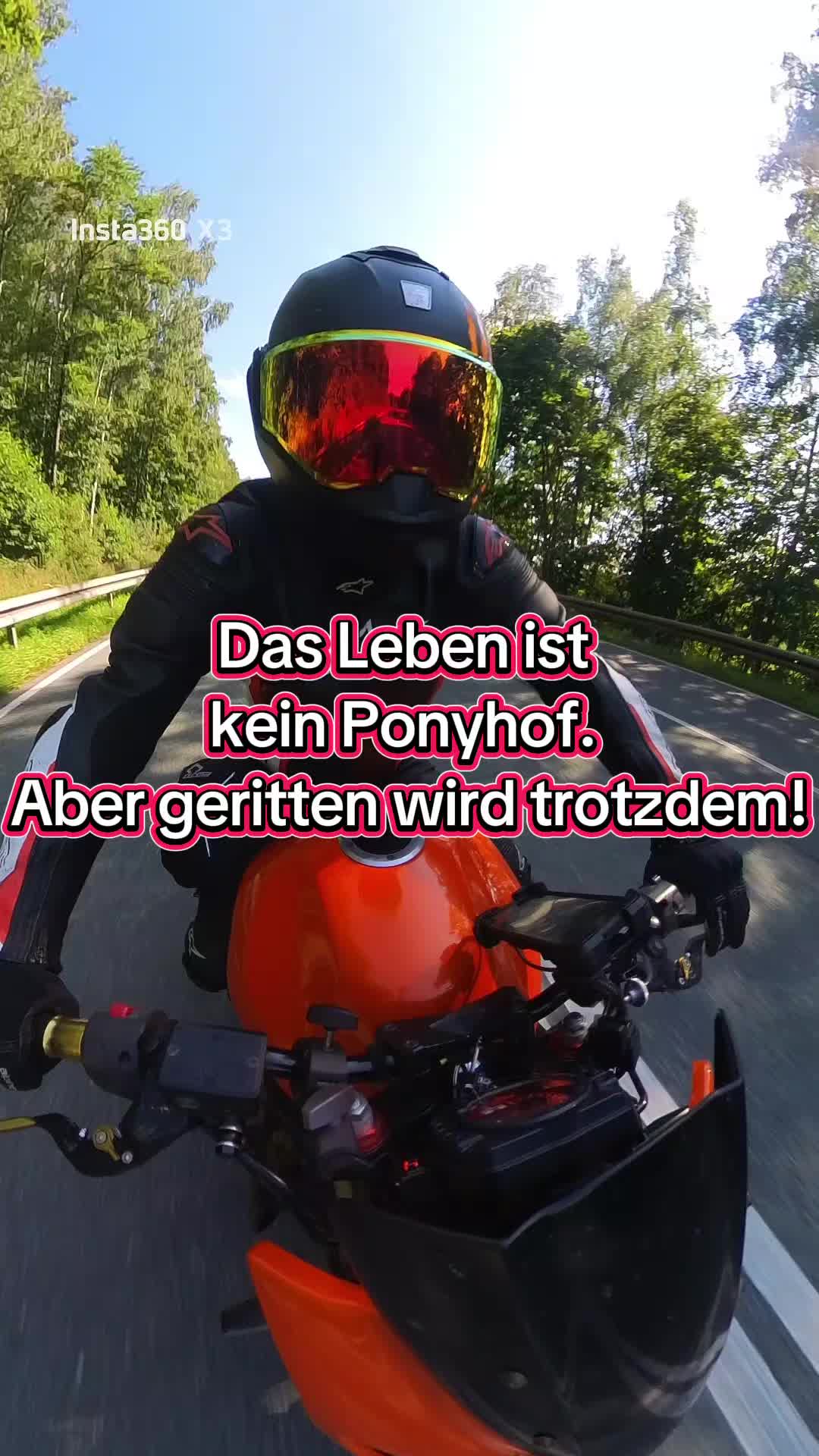 @schnappi1987