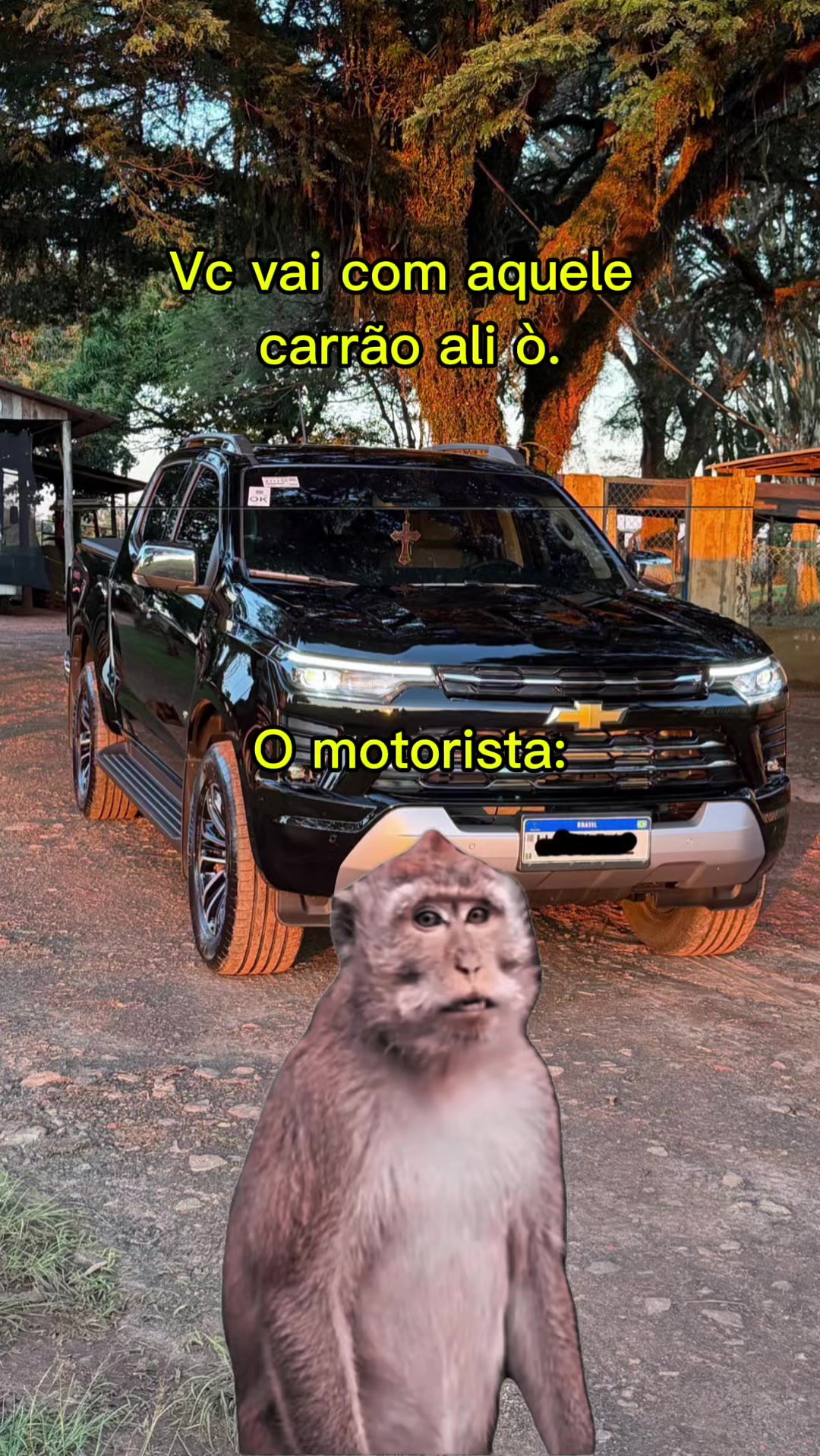 @André Martins