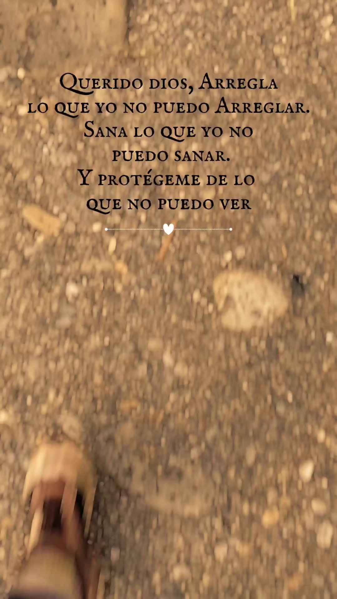 @Lulú Gómez Chapis