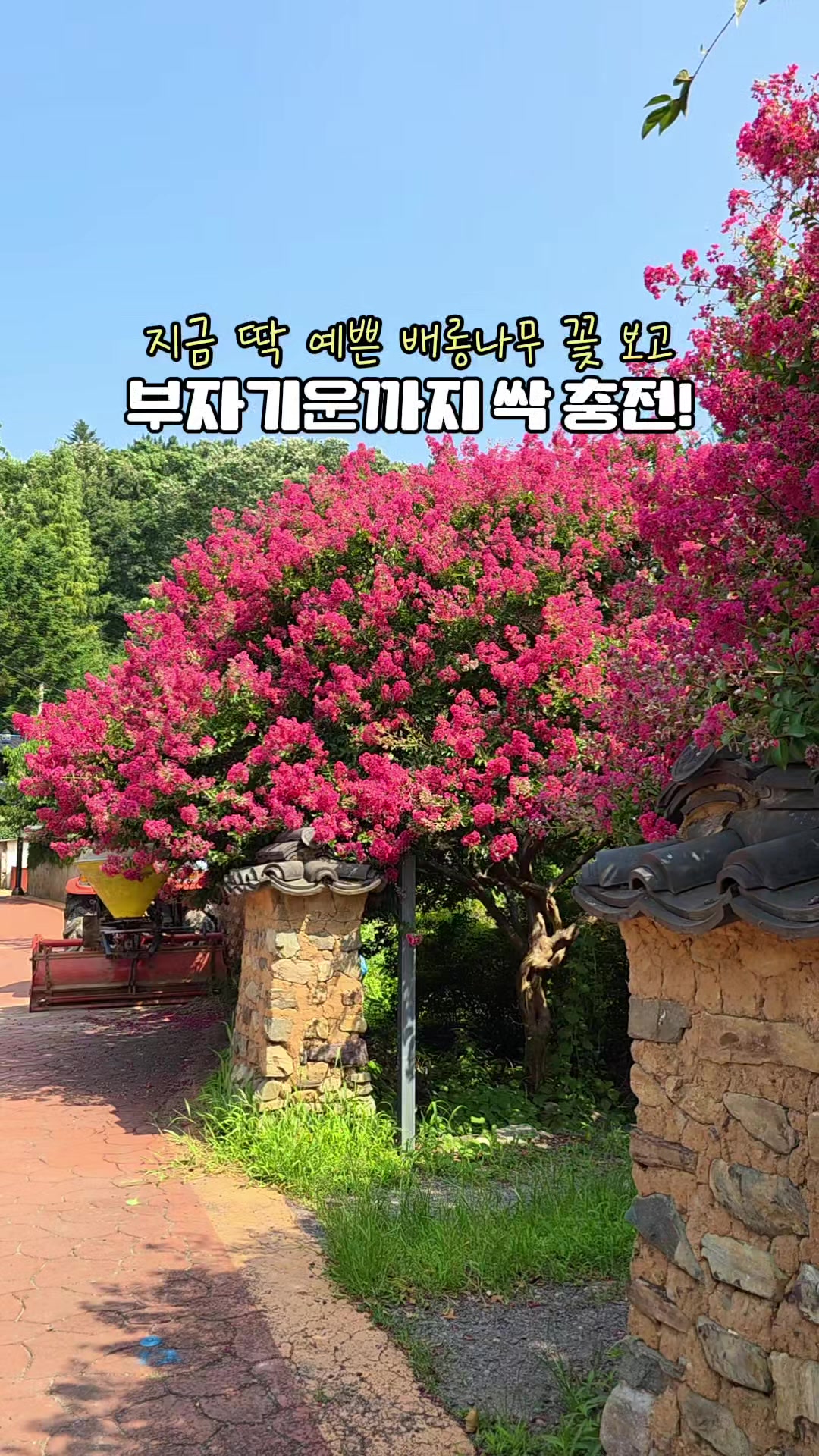 @ON로드 여행기