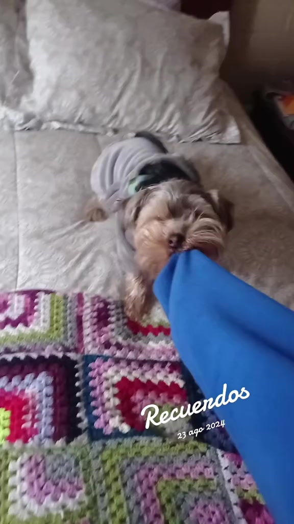 @Seto02