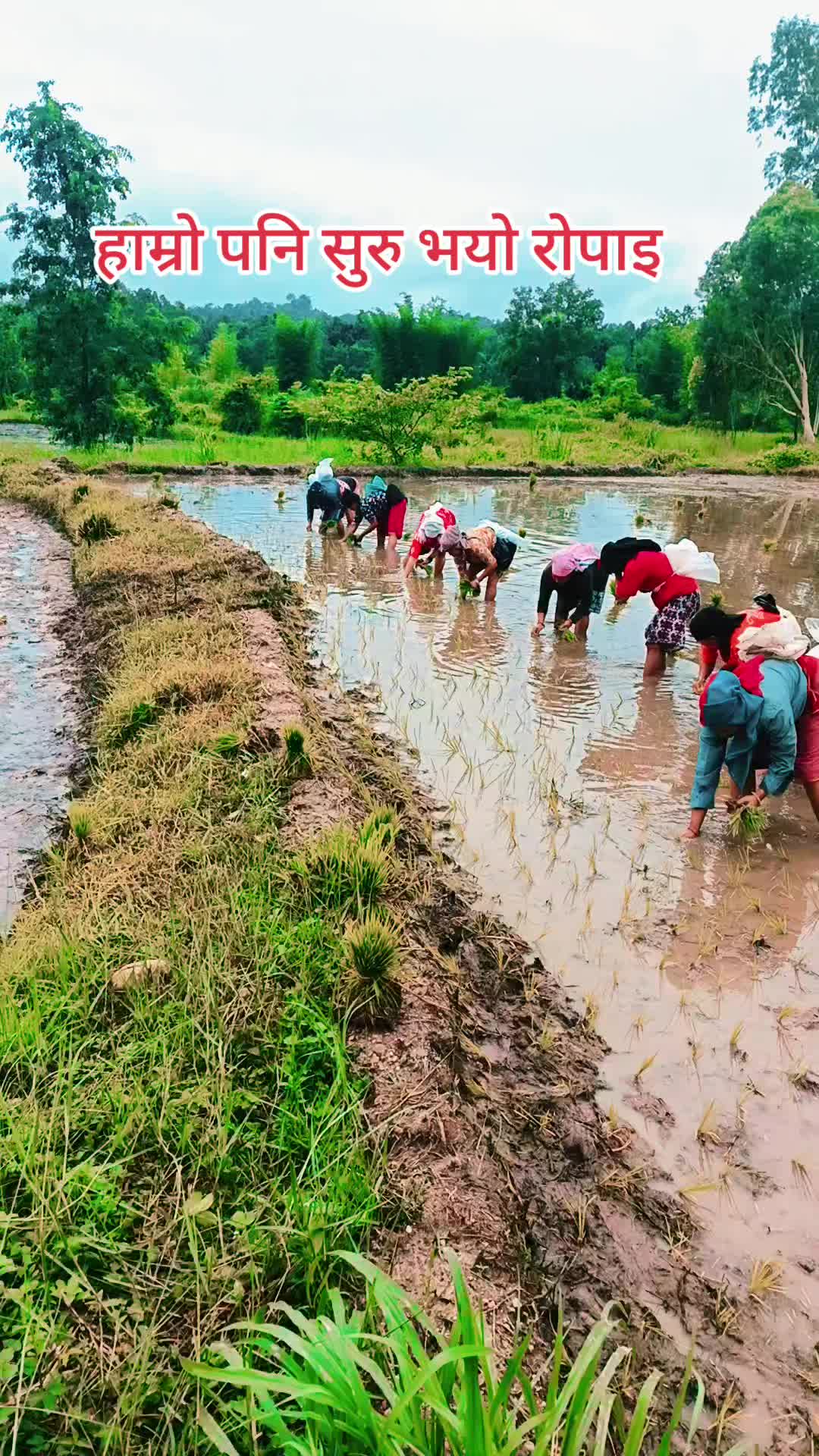 @Yuv raj 🇳🇵