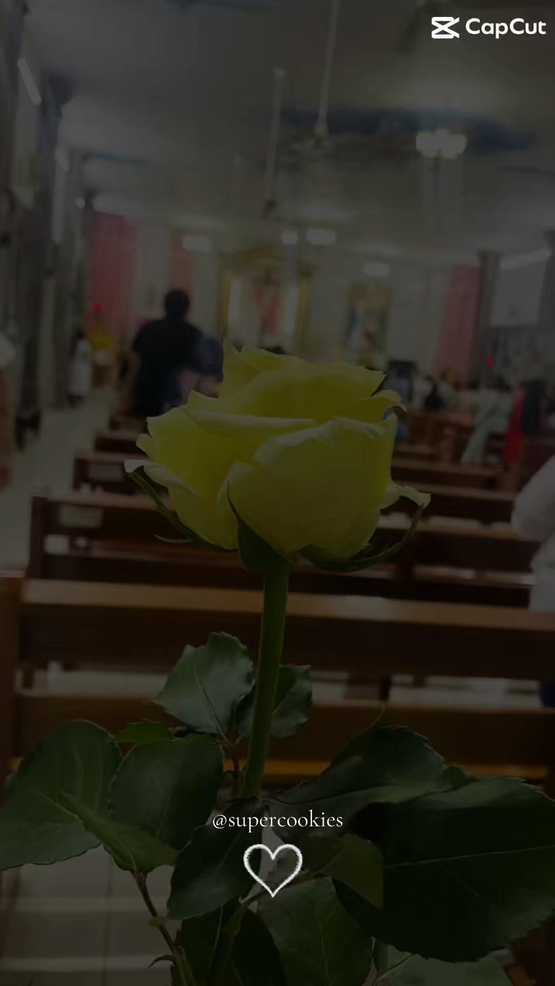 @super_cookies22