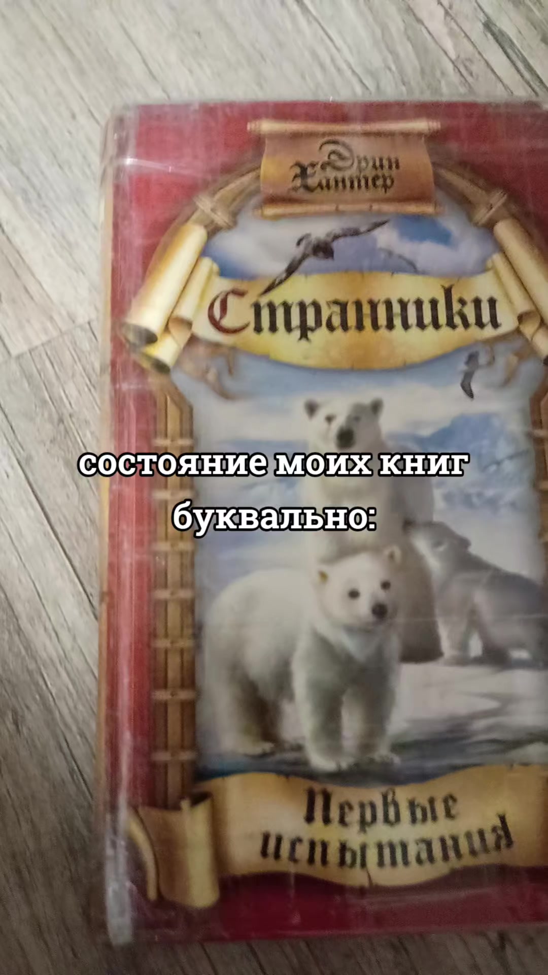 @Шарф ☮️.