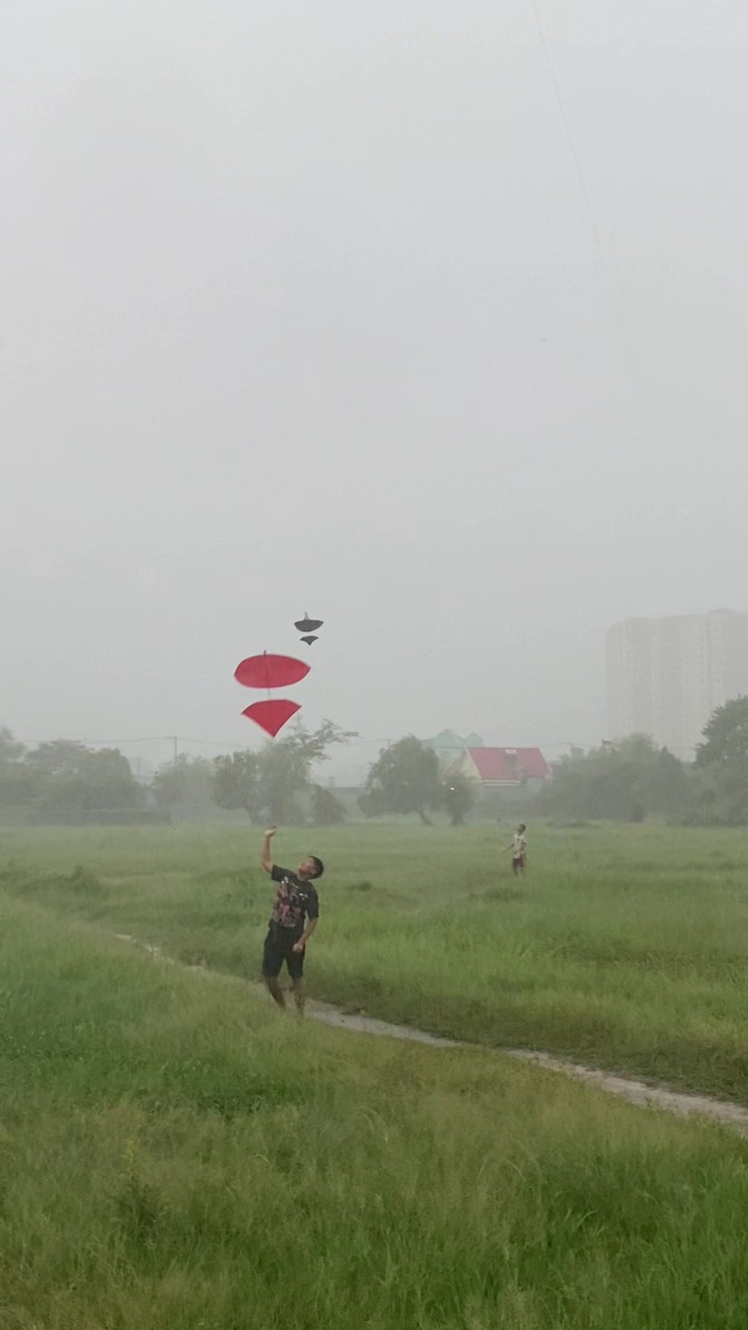 @Thả diều cùng Lợi