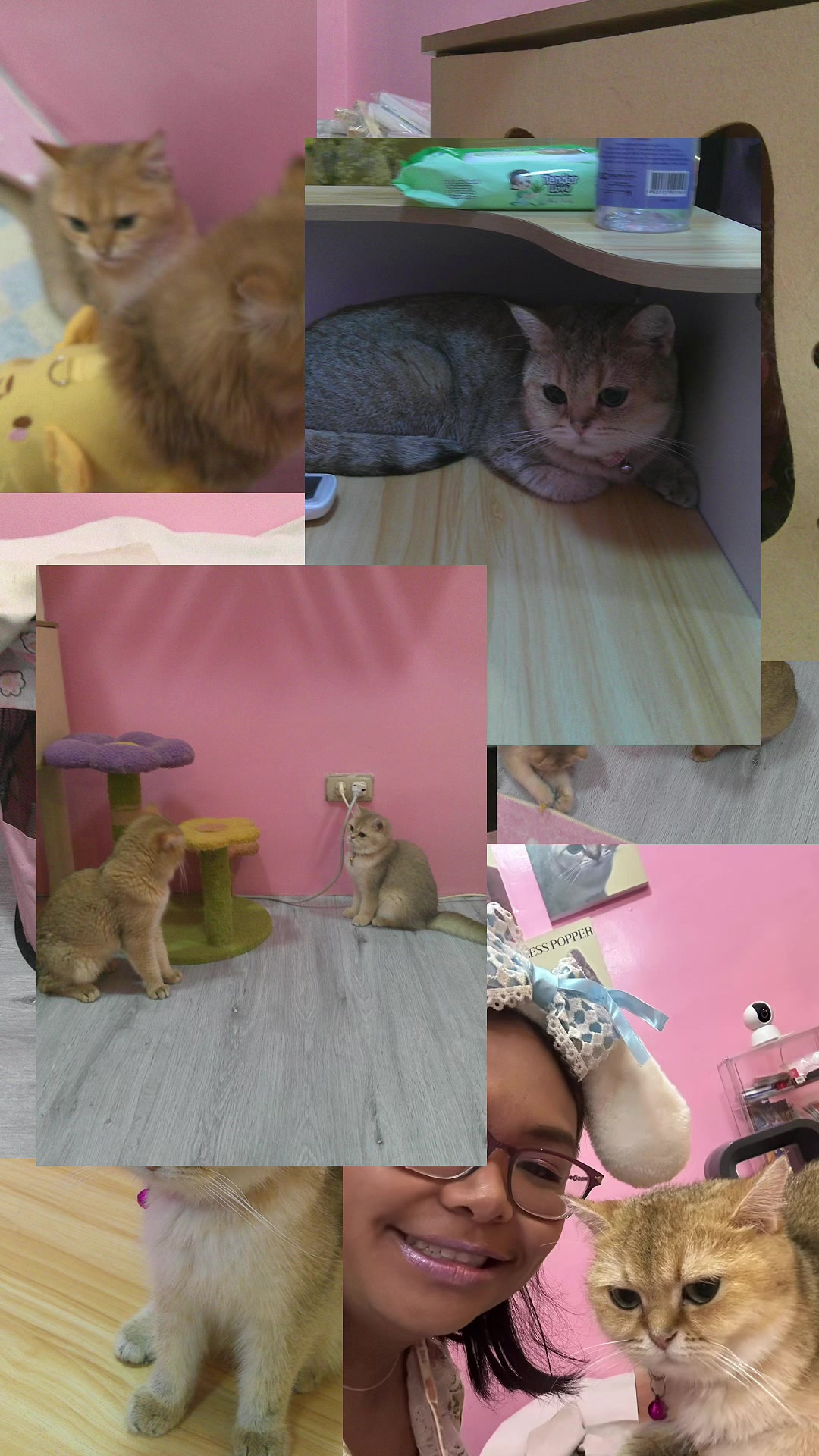 @hellokittygirl033๐ฑ๐