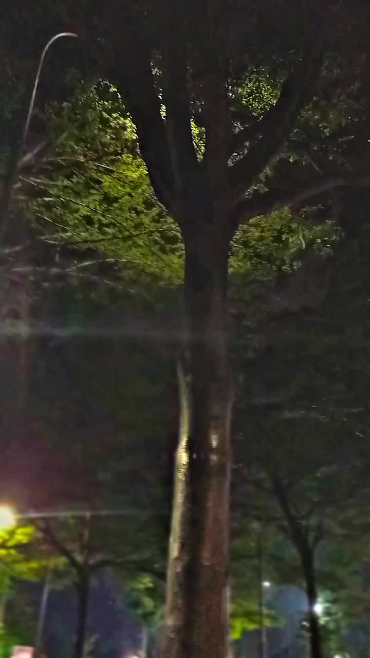 @𝓓𝓘𝓘𝓘𝓘