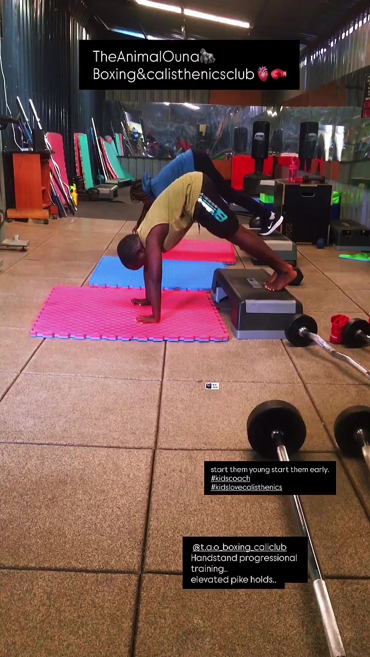 @TheAnimalOuna🦍…