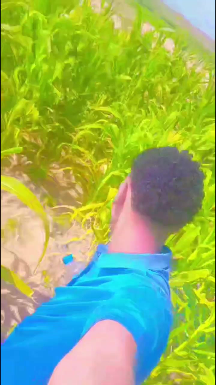@🐺_𝗭!!𝗭0𝗪𝘄𝘄_🦁