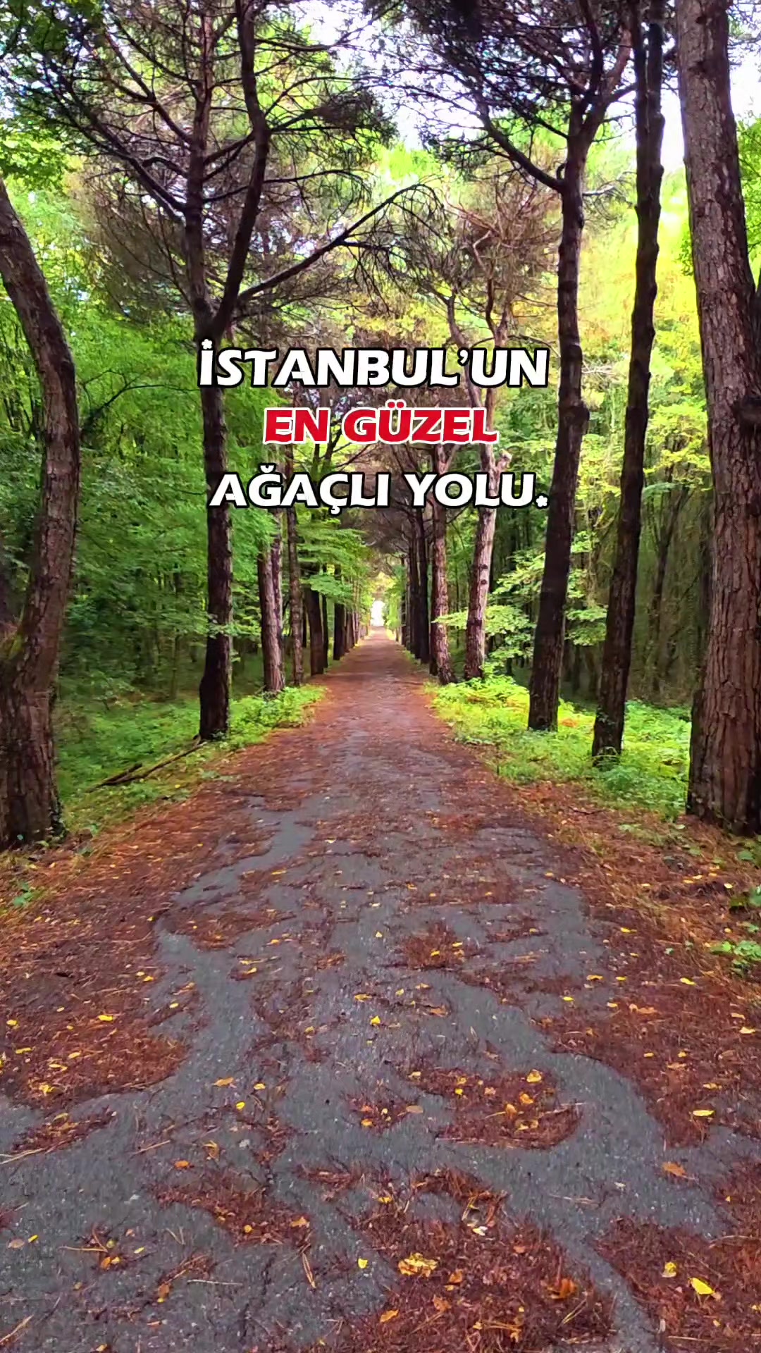 @duslerdeistanbul