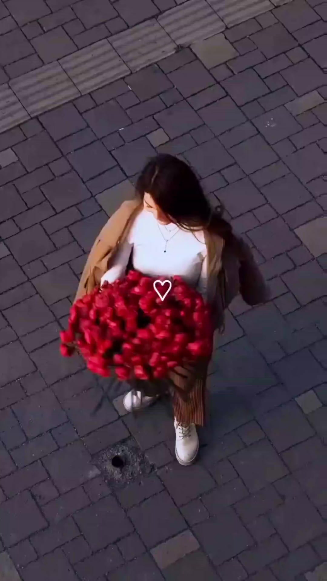 @⋆❖🆈🆄🆅🆁🅰🅹_🅺_🅲🅳❖⋆