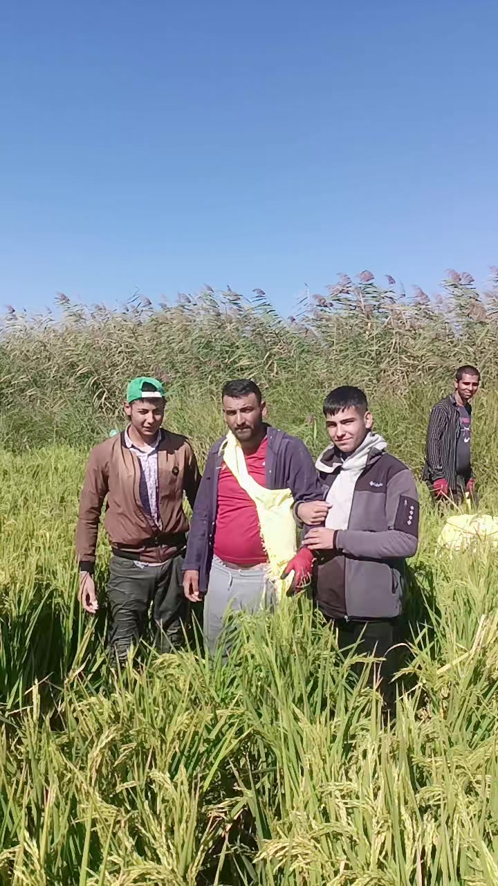 @Diriliş Ertuğrul