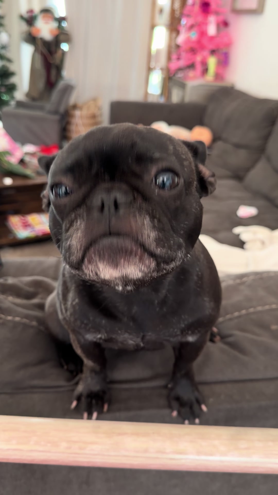 @minniecantalk