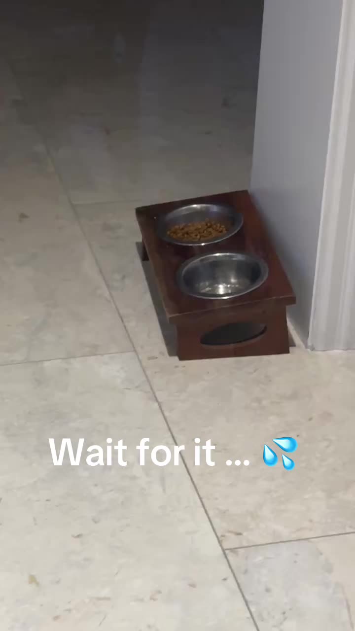@AngiesWorld