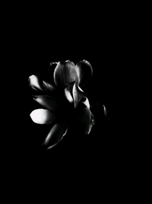 @𝐒𝐓𝐀𝐑'𝐒