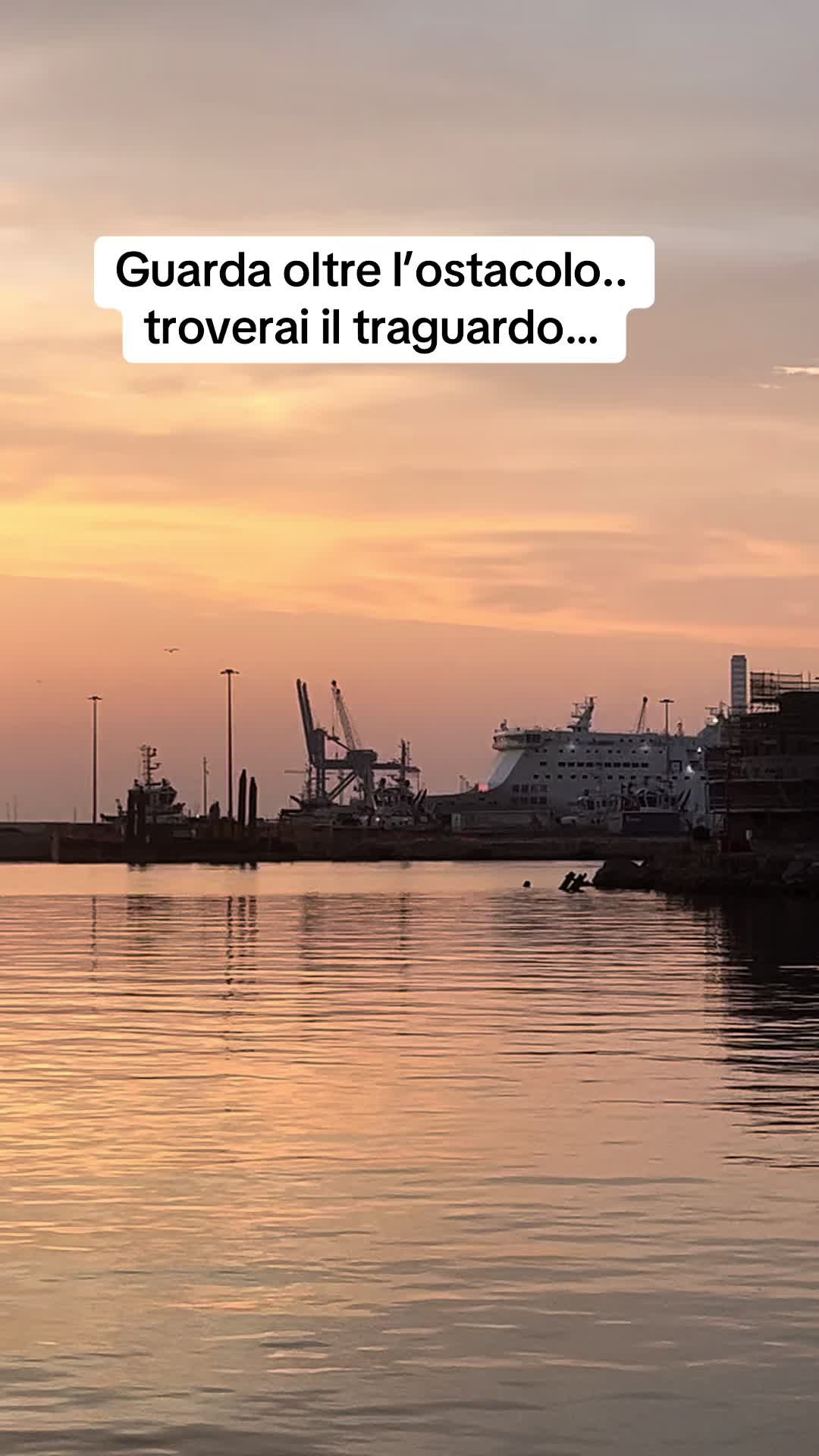 @Luna Chiena