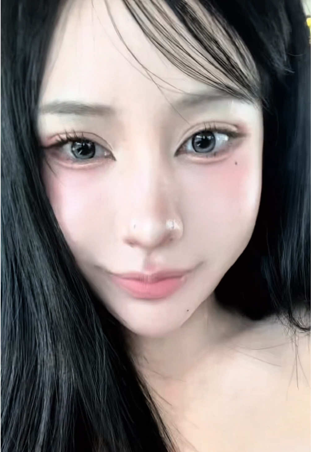 @Shiba.pw