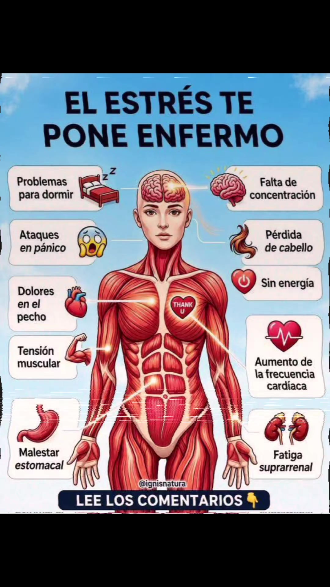 @Mirlehu