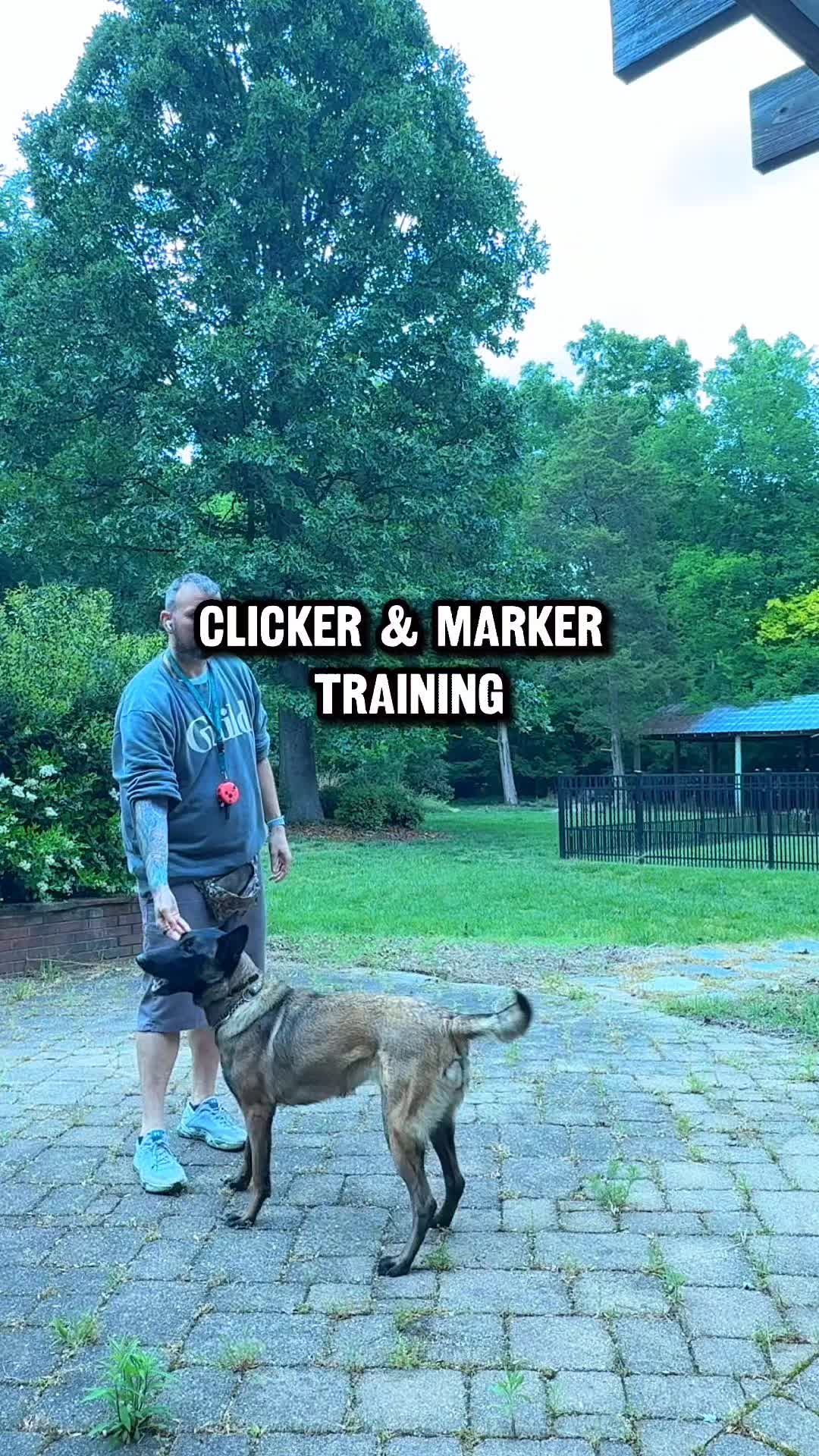 @Lost Boys K9 Academy