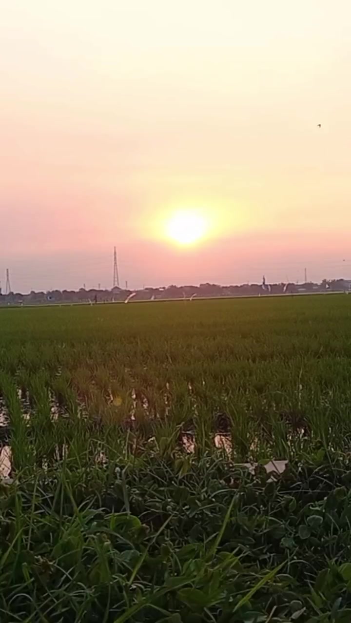 @SUYANTI_STORE18