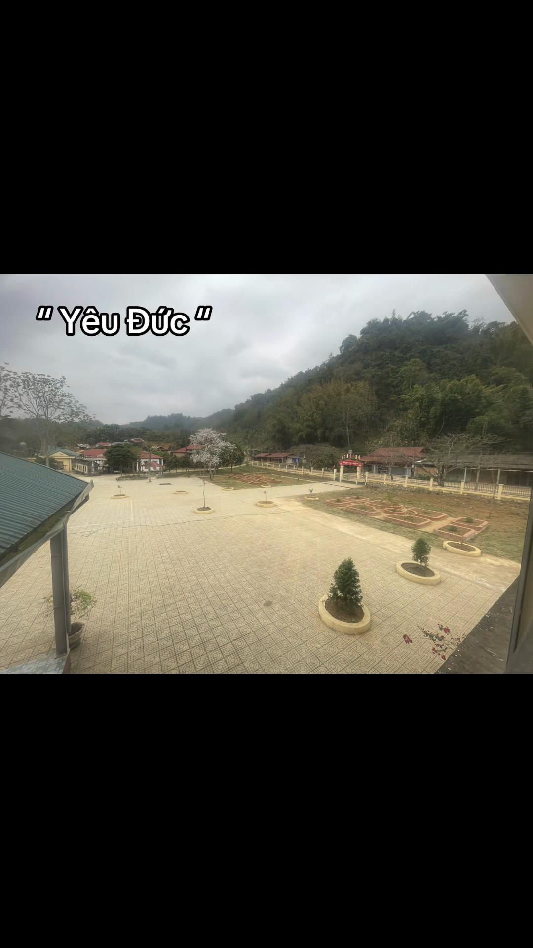 @Phe yêu Đức💗💗