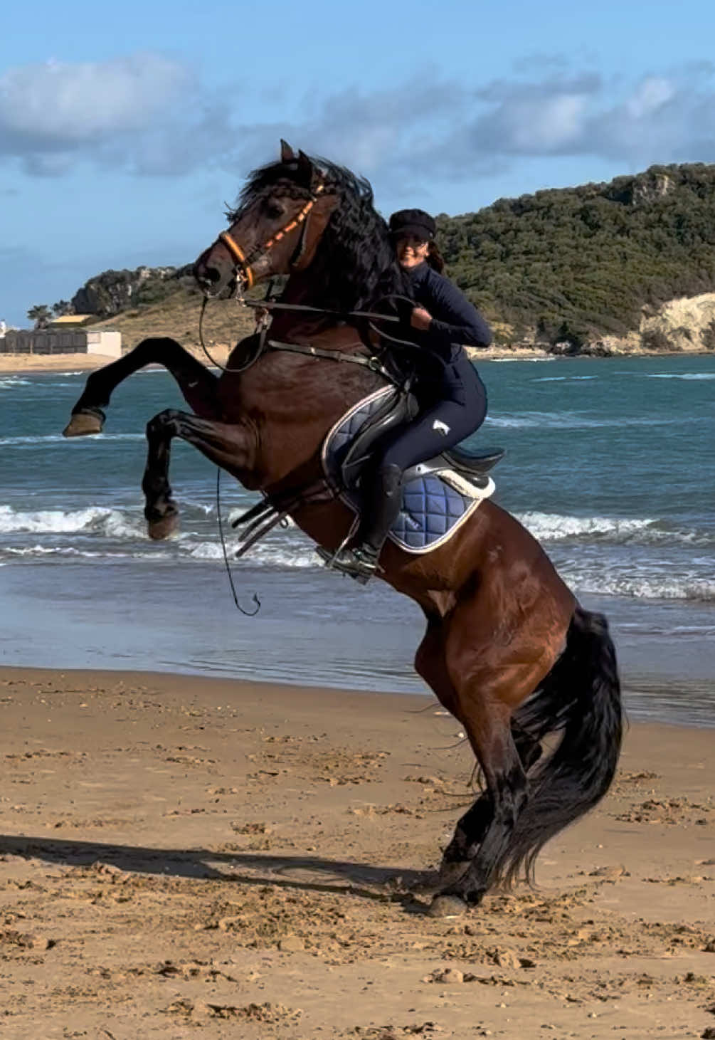 @Chiara Vitali 🐴