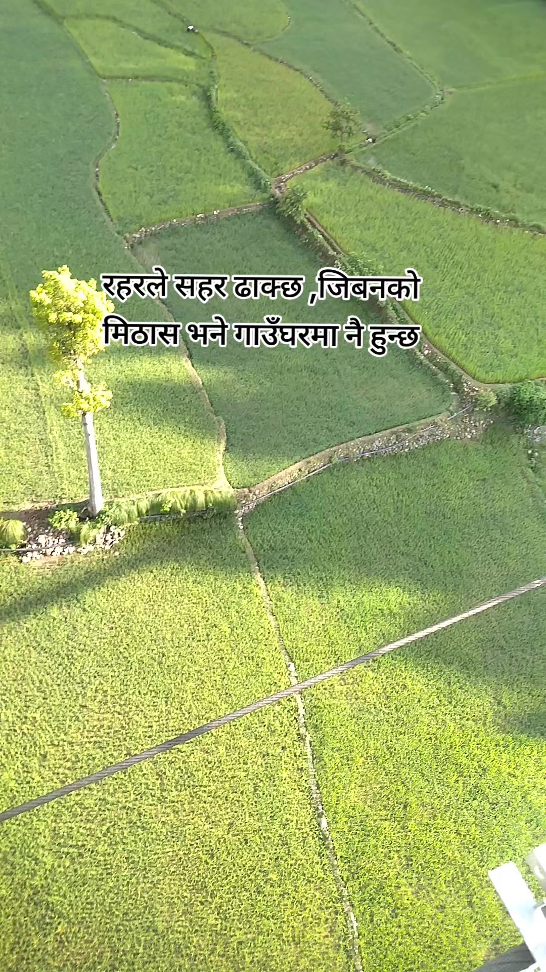 @चिम्से म पाल्पाली
