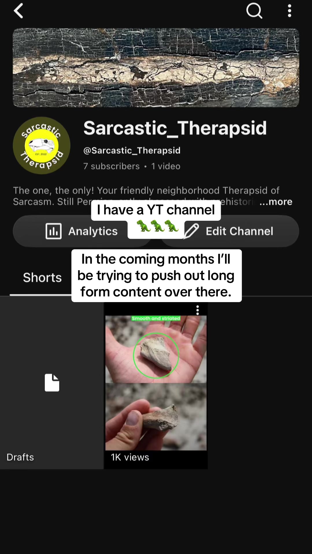 @Sarcastic_therapsid