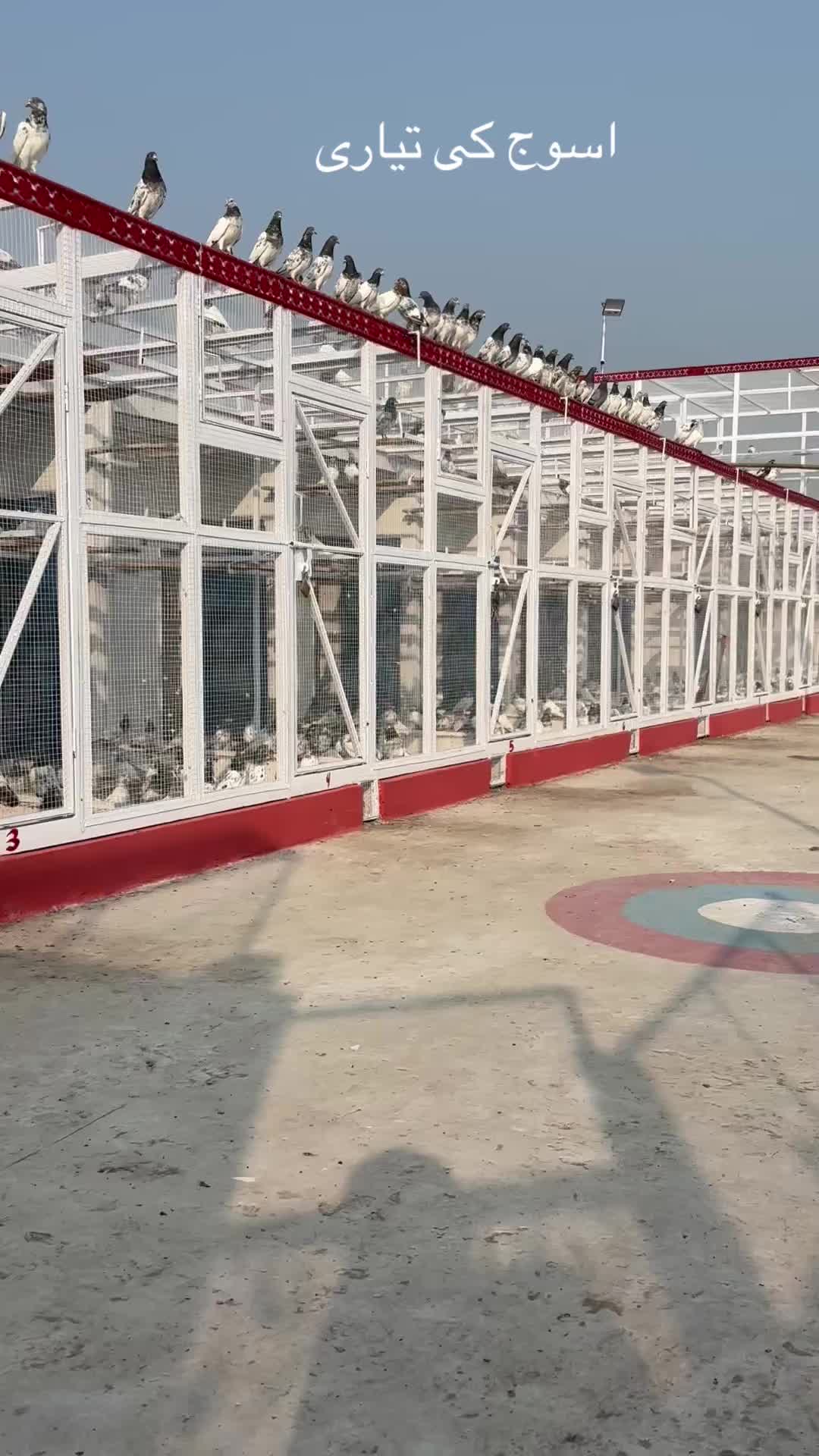 @F. ✔️. 🥀. 🔗