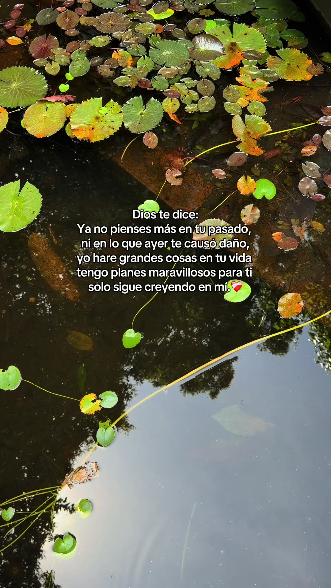 @eimy21h