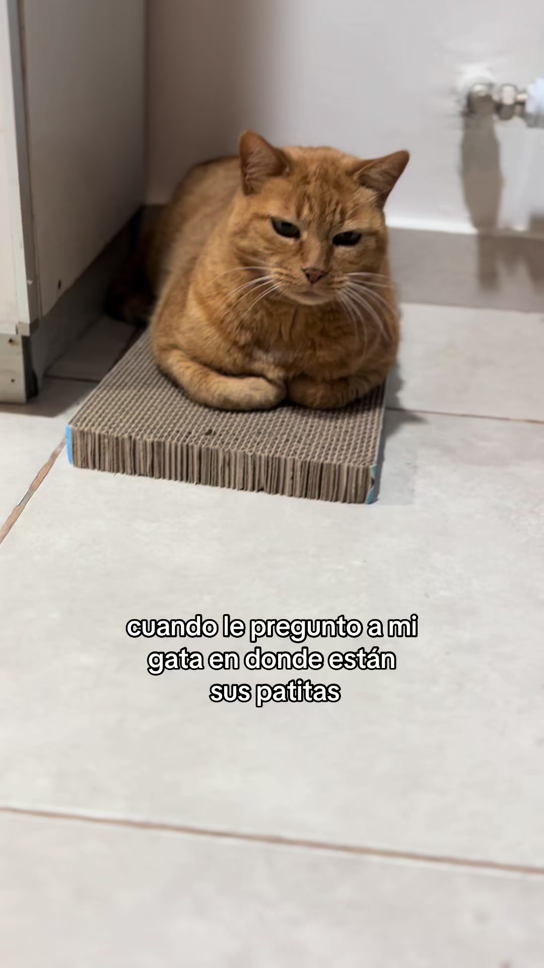 @Pia Pereyra