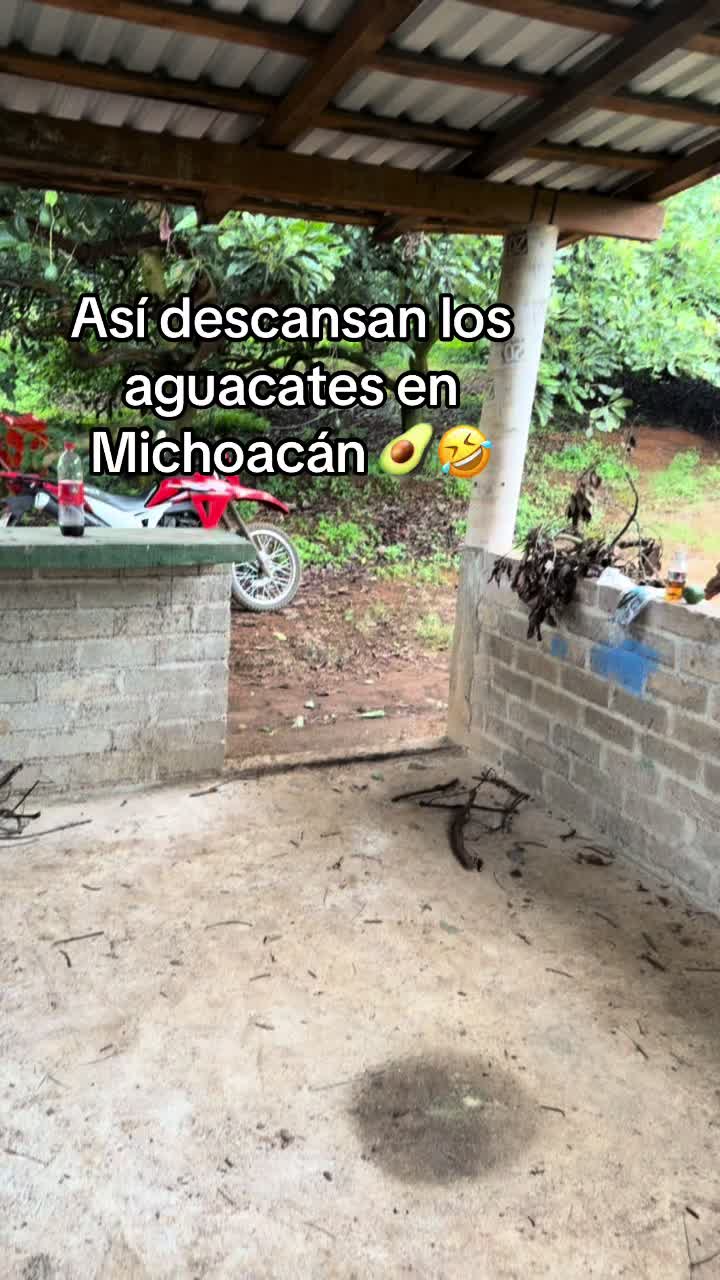 @EL SEÑOR DE LOS PEDOS