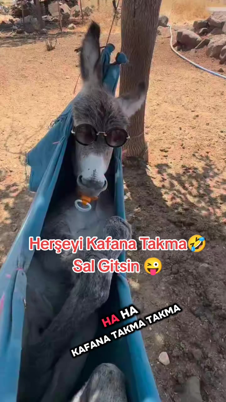 @İbrahim.bol.07.34