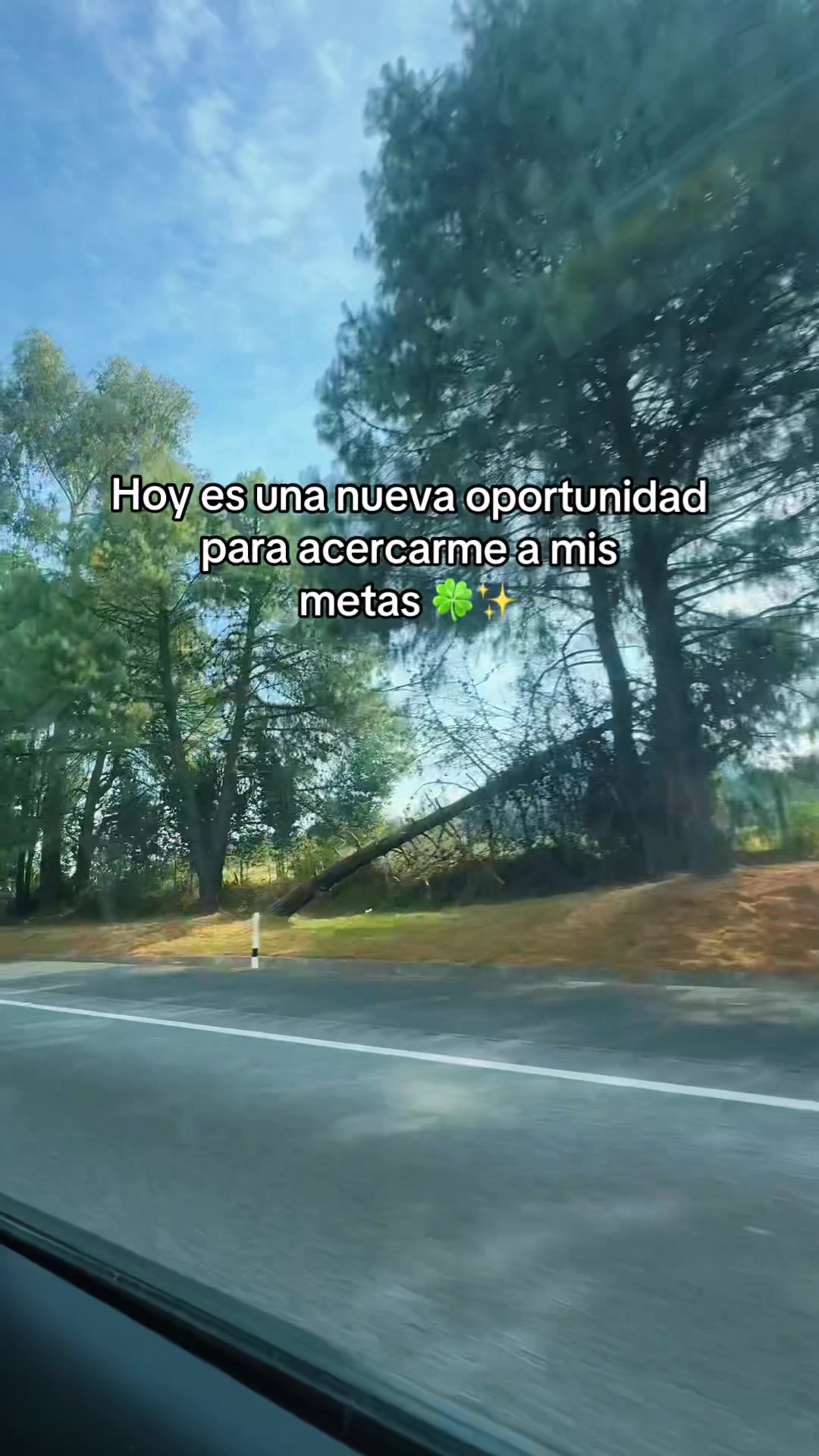 @Consultor&iacute;aJAS