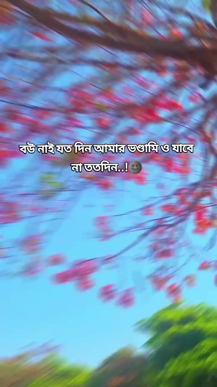 @Maruf billah 🌱