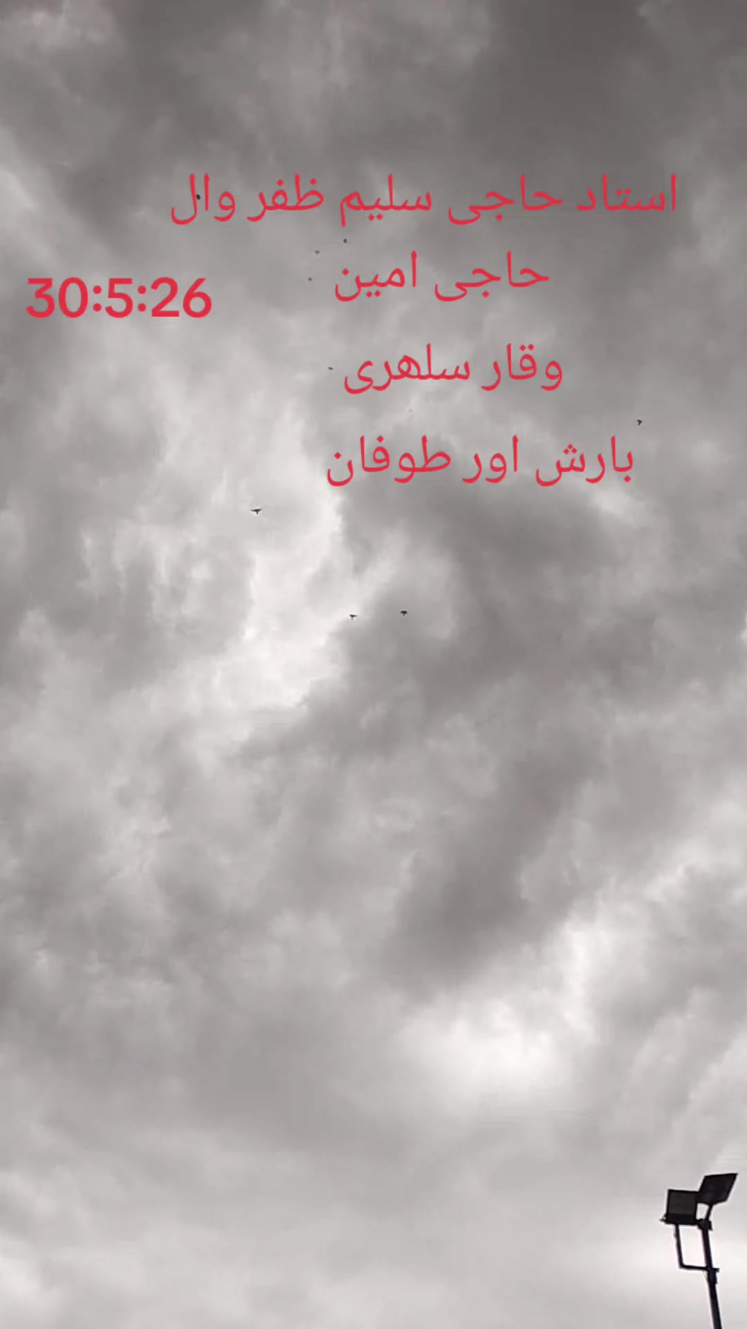 @waqarsulehri555