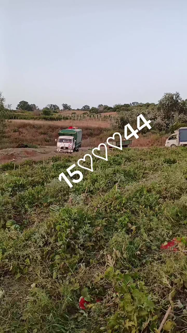 @محمد امين