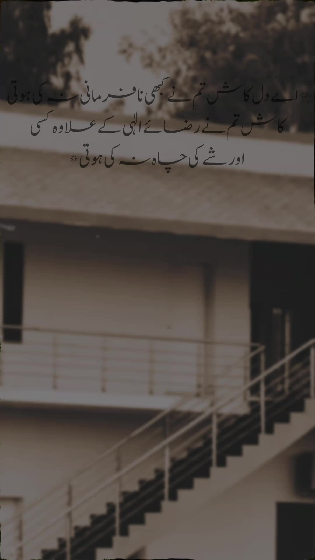@𝐄𝐦𝐨𝐭𝐢𝐨𝐧𝐚𝐥-𝐥𝐢𝐧𝐞𝐬♡