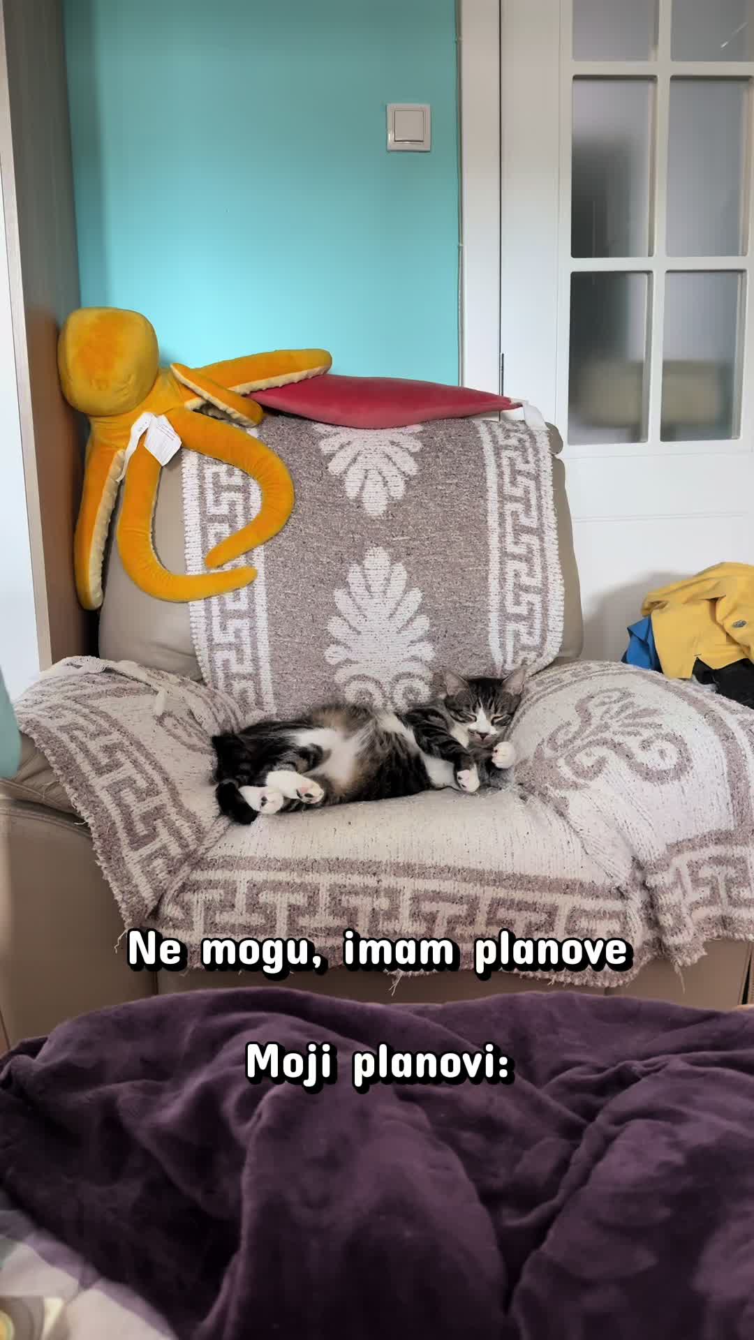 @Srećko & Rista 🐈⬛