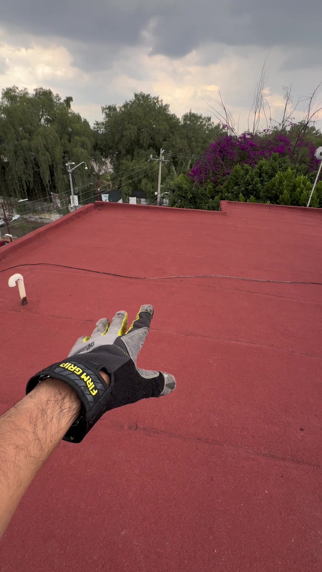 @ImperYisus