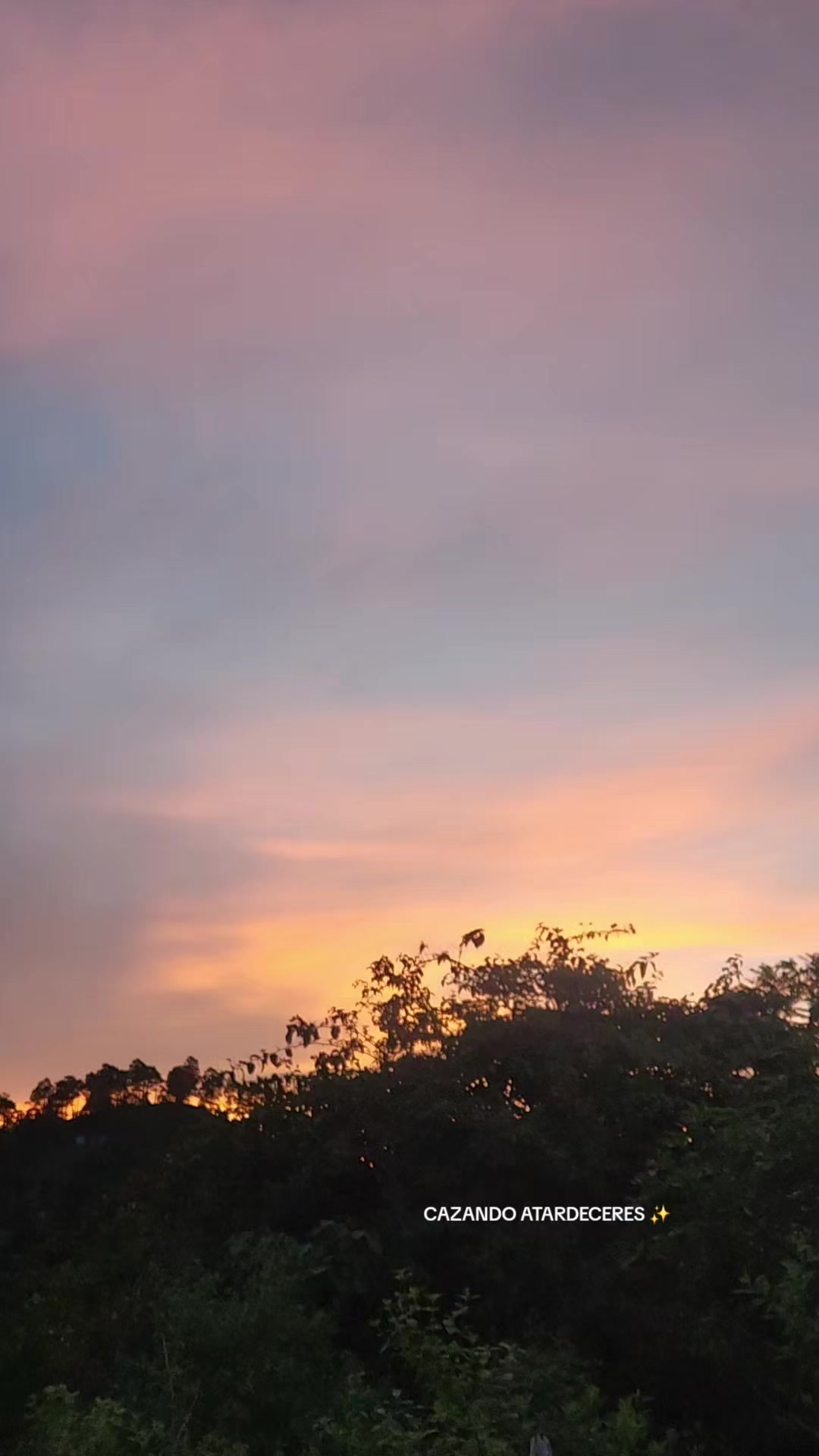@✓ Cazando Atardecer_ 🌄☀️❤️🔥