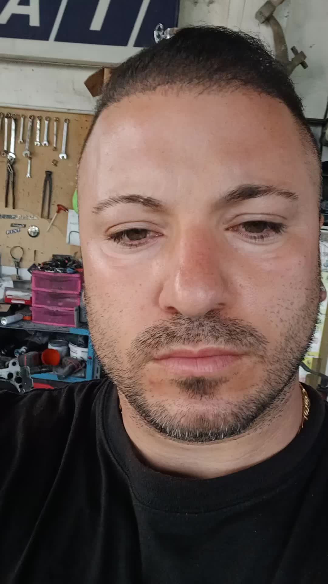 @vittorio alaimo